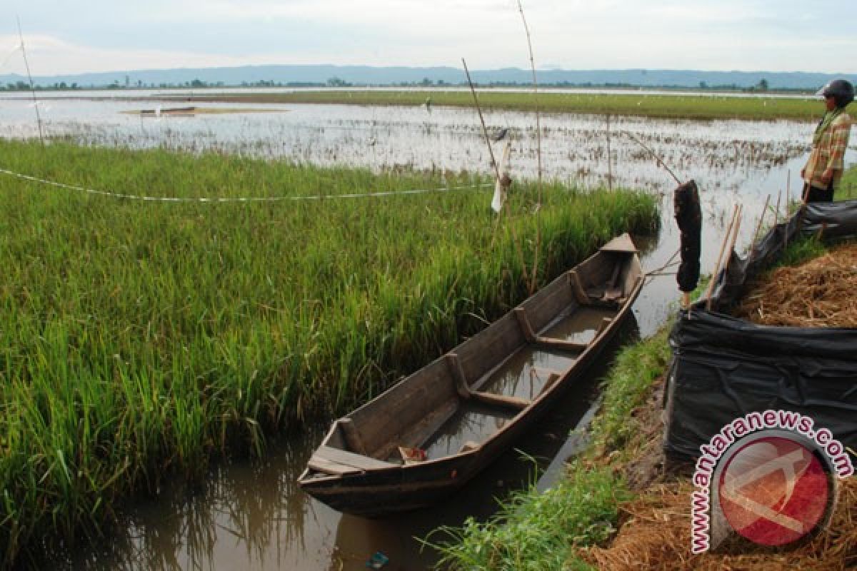 Ratusan hektare lahan di Nganjuk terendam 