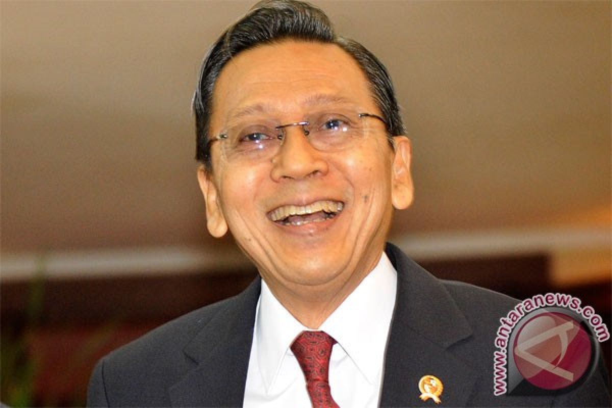 VP optimistic RI can reach MDG`s target in 2015