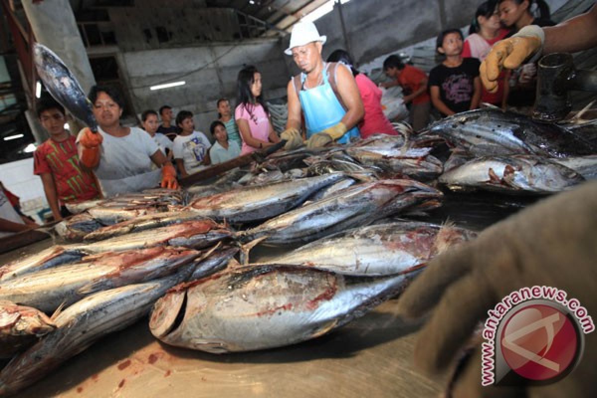 LIPI diversifikasi ikan cakalang dan sagu jadi mie