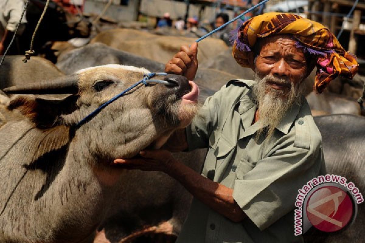 Ritual larung untuk Raden Menak Sopal di Trenggalek