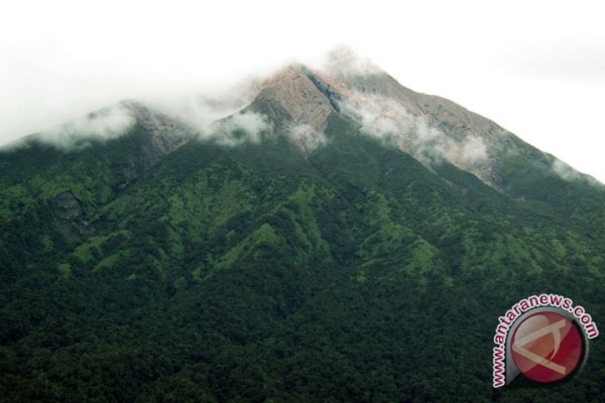 Gunung Merapi Sumbar semburkan abu vulkanik ke Lasi