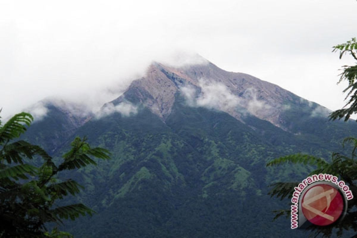 Pendaki merbabu hilang ditemukan selamat