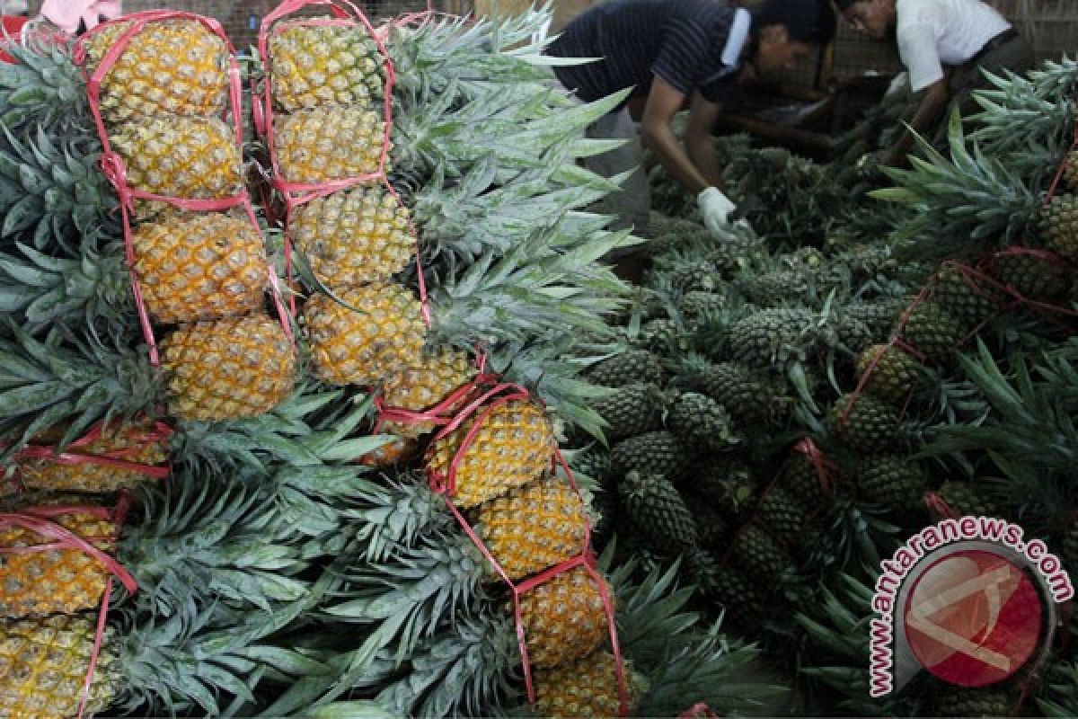 Nanas diborong untuk bahan kue Lebaran