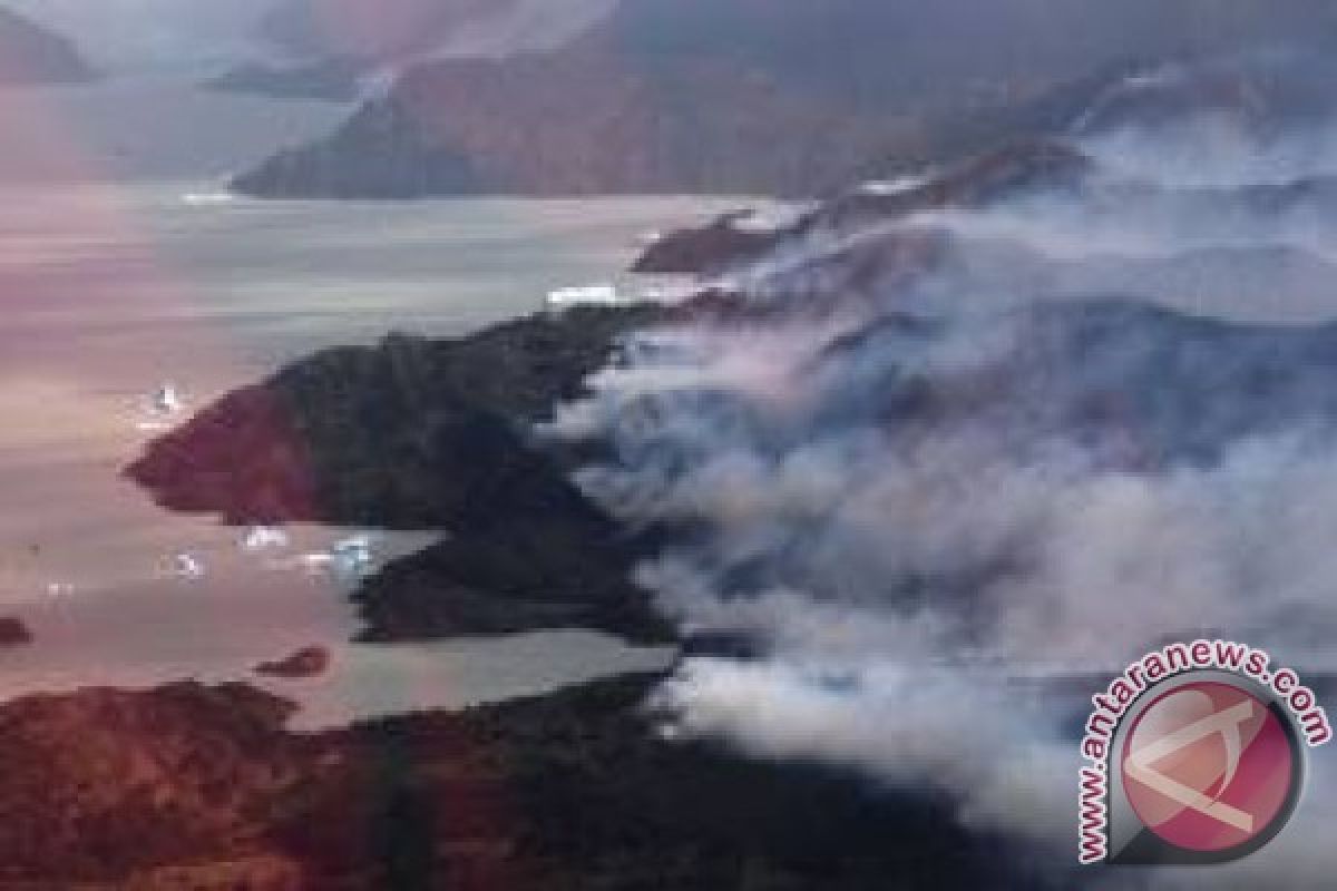 Chile struggles to control fires in famous national park