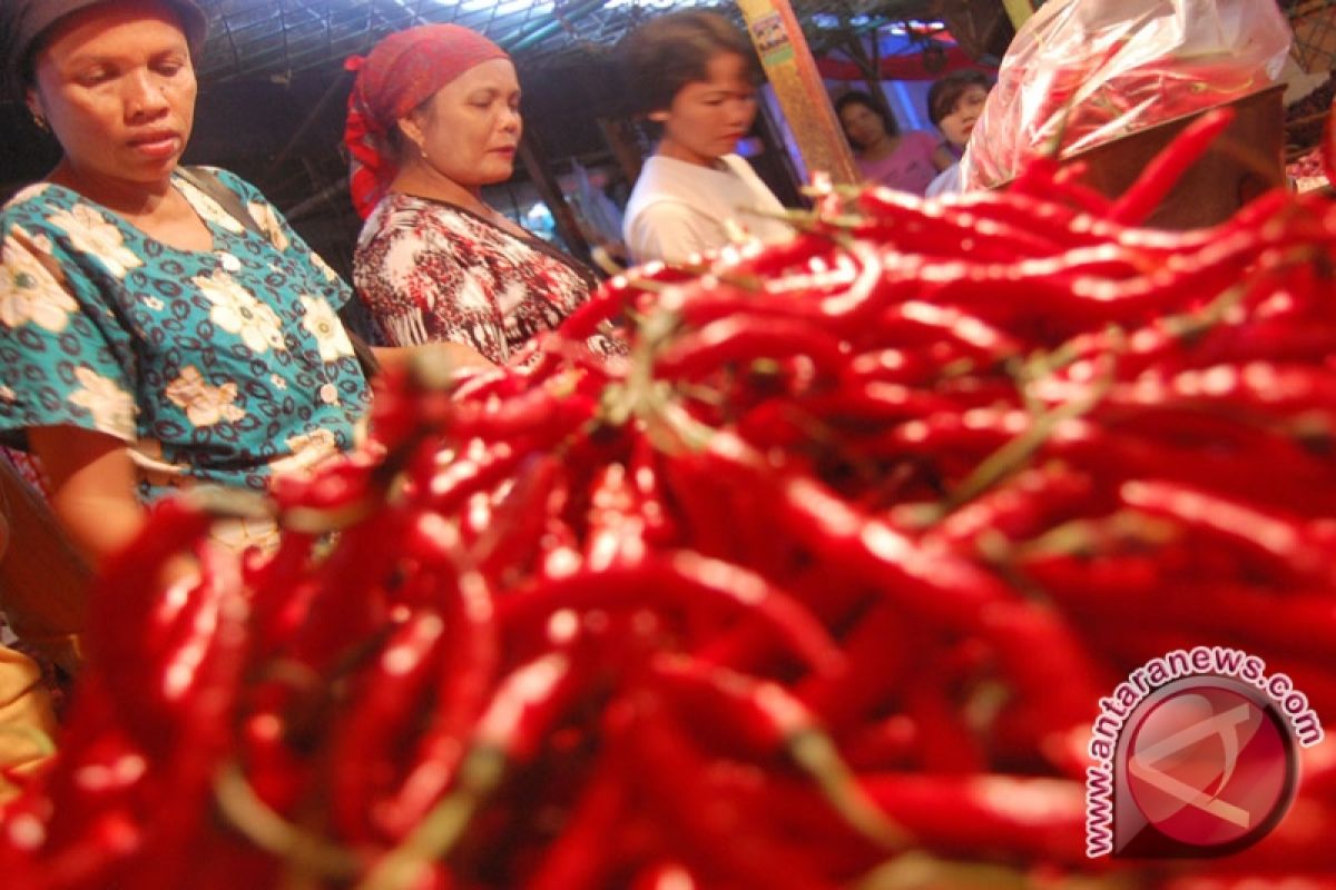 Jambi membutuhkan cabai 12 ton perhari