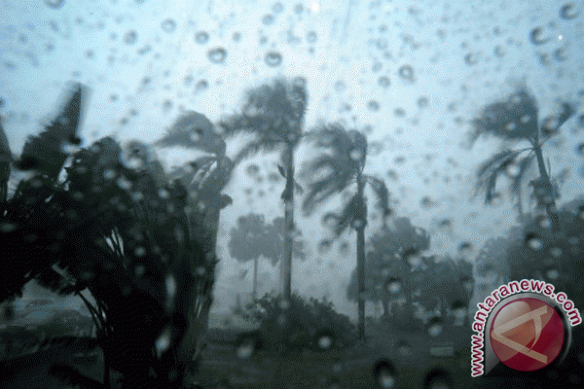 Angin kencang tumbangkan pohon di Purwakarta 