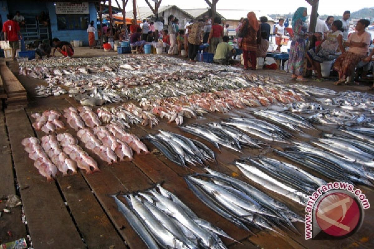 Harga ikan laut melambung