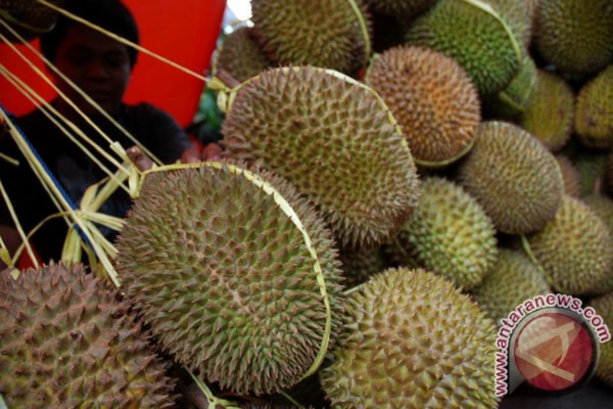 Durian lokal "menjamur" di Karawang