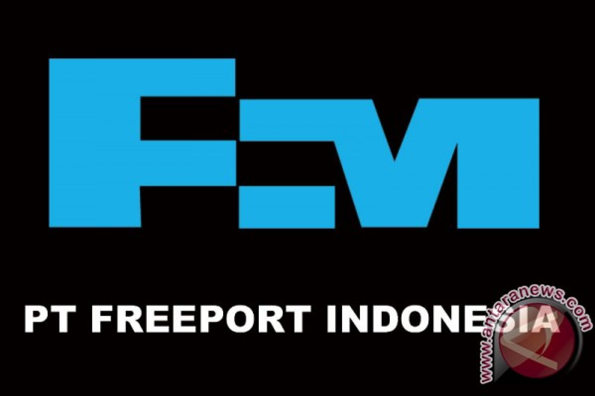 Freeport lakukan pemeriksaan seksama pascakecelakaan Big Gossan