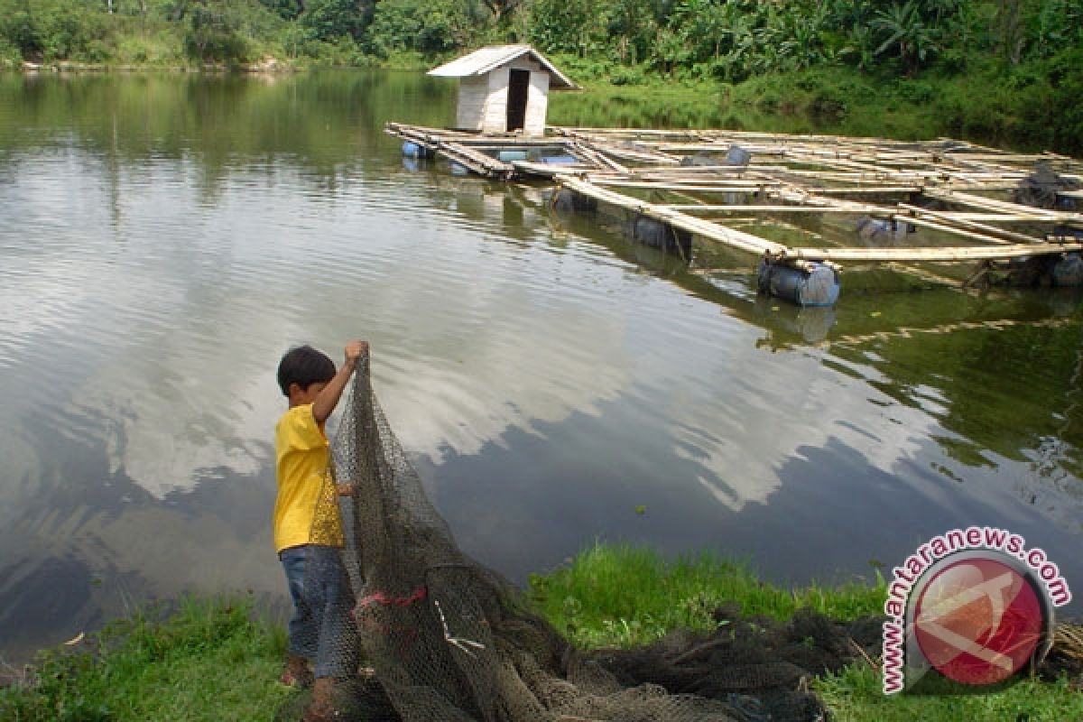 Keramba Jaring Apung Di Lampung Menjamur