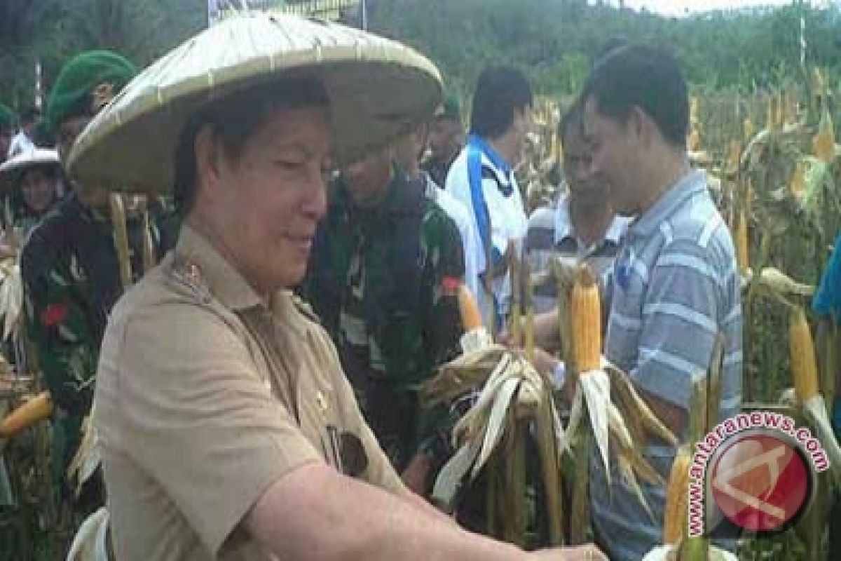 Pemkot Manado dan Korem Panen Jagung