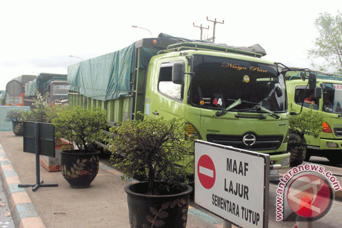 Merak masih lumpuh