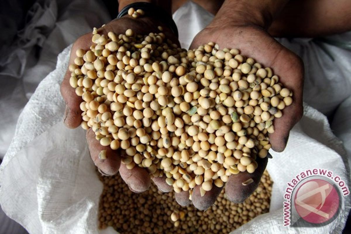Soybean prices continue to rise in Kebumen