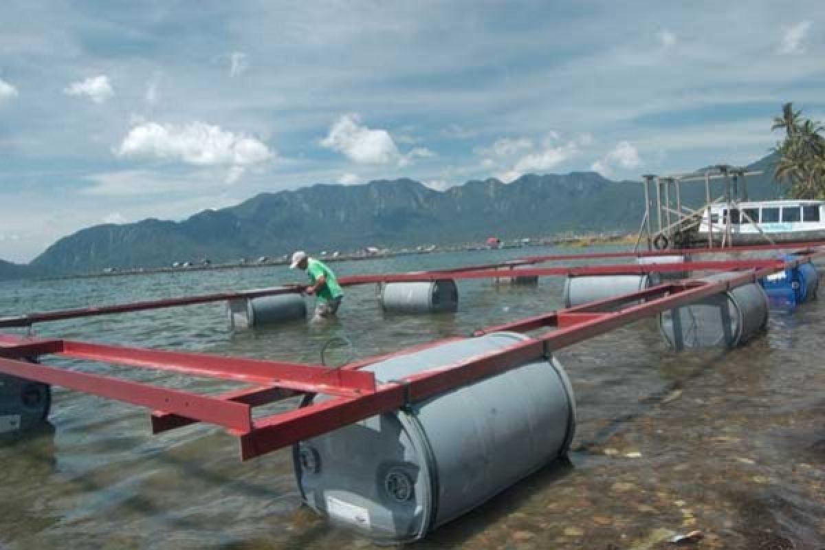 Agam Installed 1,521 Tagging of Floating Net Cages in Maninjau Lake