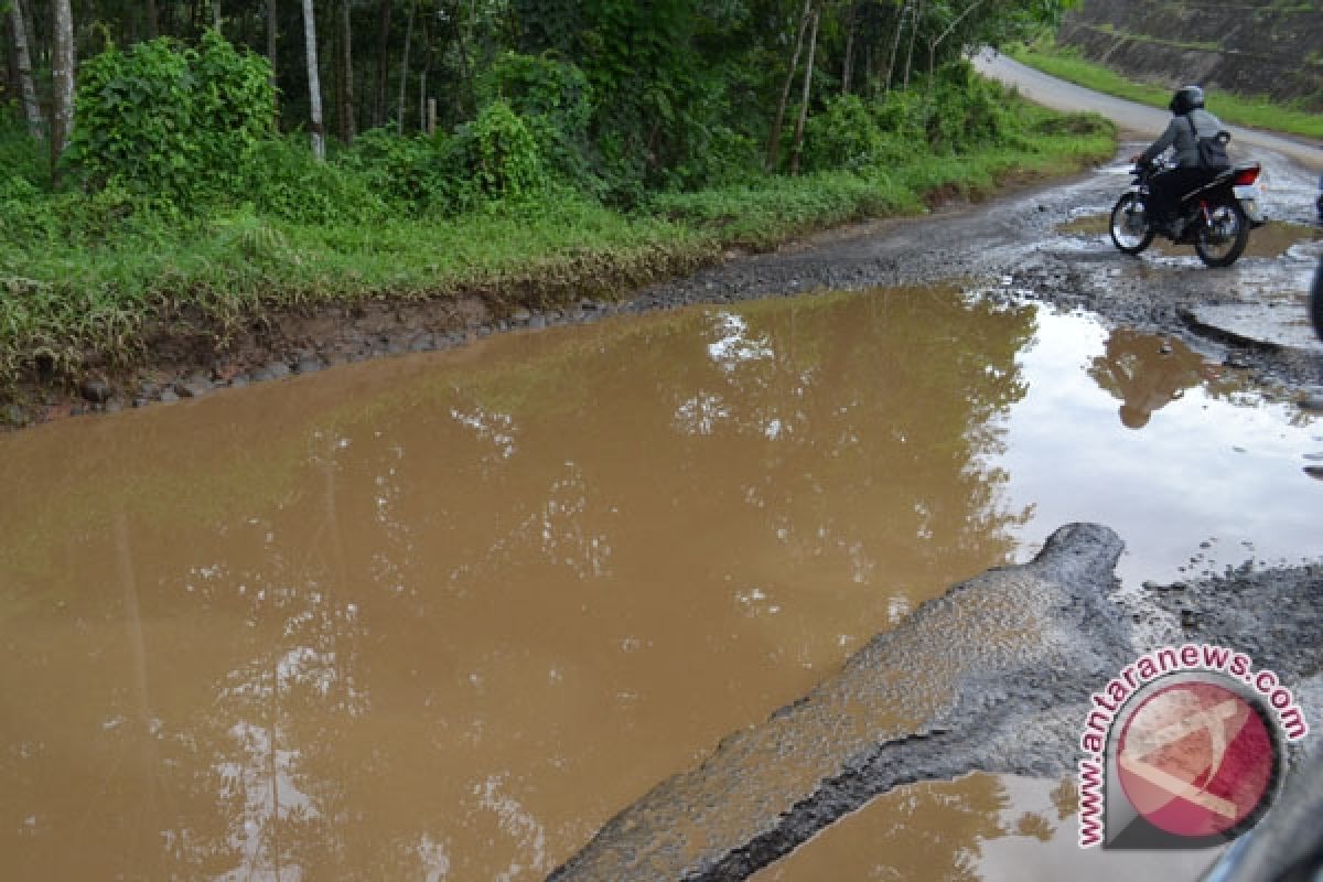 Warga tanam sawit di jalan rusak