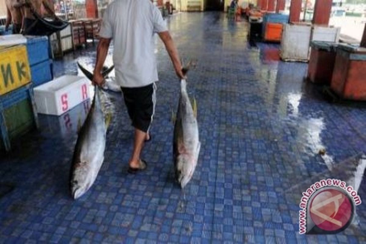 DKP Sangihe bangun tempat pelelangan ikan