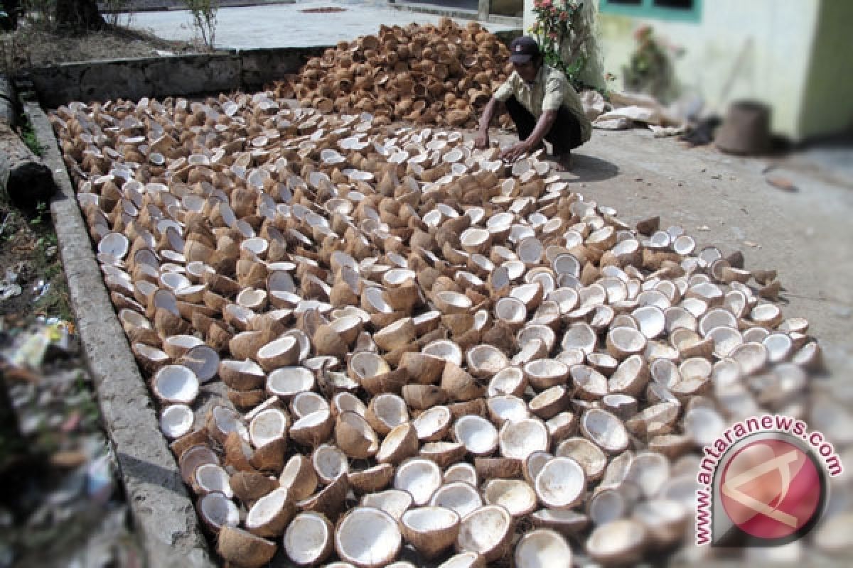 Mukomuko dorong pengolahan batok kelapa untuk kerajinan
