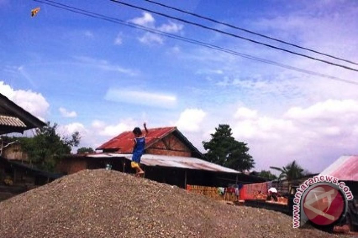 Main layangan mengganggu ketertiban umum