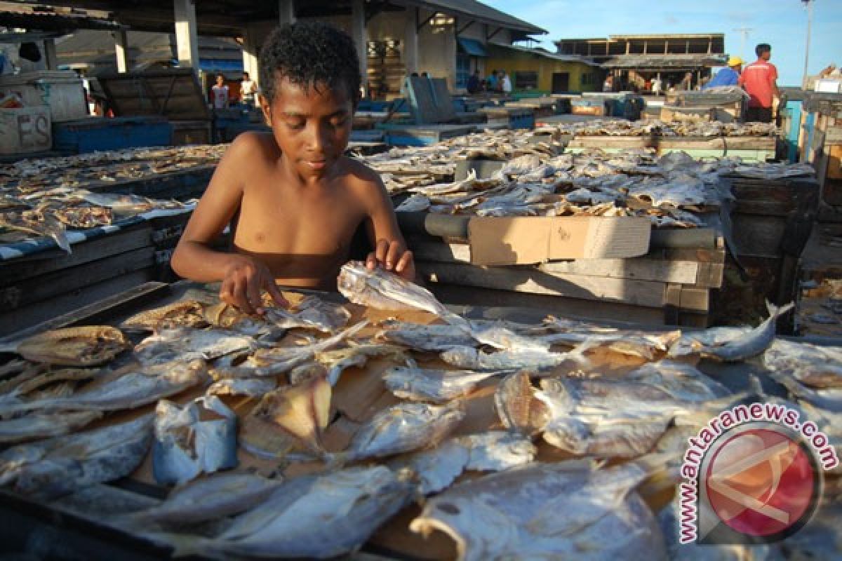 Obsesi nelayan Papua mengekspor ikan