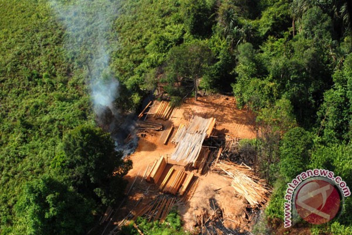 Sarolangun akan kukuhkan ratusan hektare hutan adat