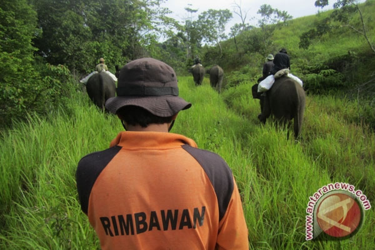 Musi Rawas hanya miliki enam polisi hutan