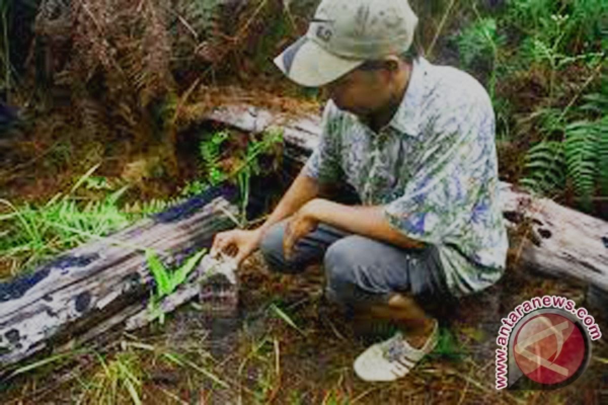 Pemerintah gelar rembuk nasional tuntaskan batas Bengkulu-Sumbar