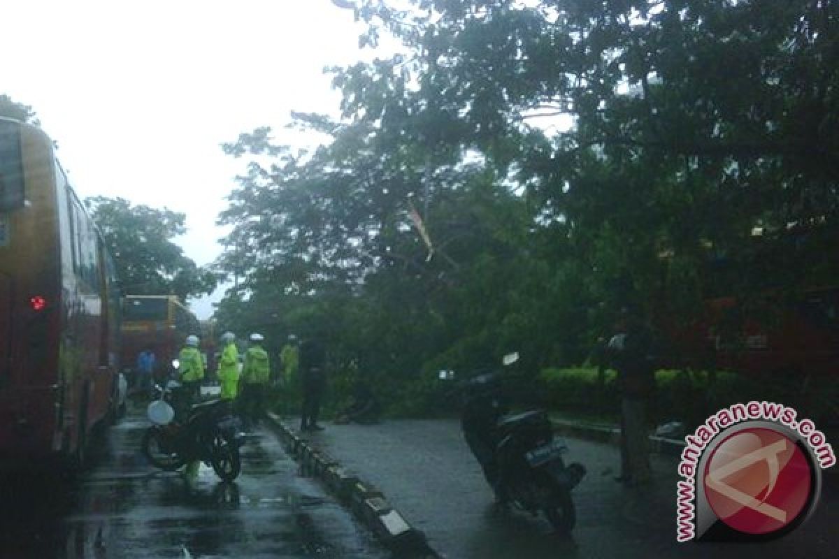 Hujan, pohon tumbang, lalu lintas Jakarta padat