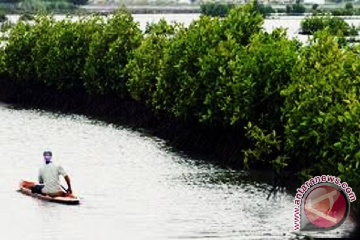 Indonesia sumbang 75 persen luas mangrove Asia