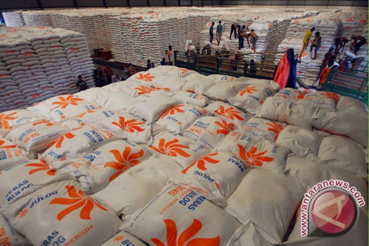 Bulog: Pengadaan beras lokal Bengkulu tidak tercapai