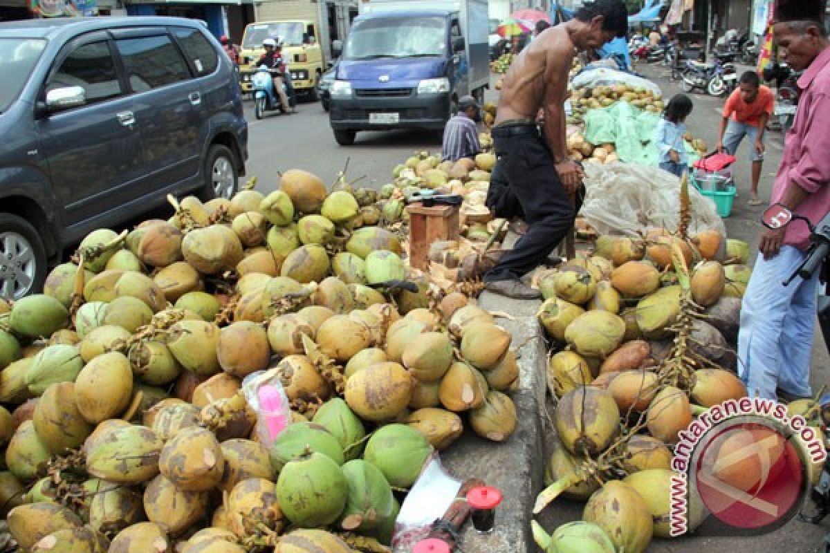 Kelapa Lampung bersaing dengan Bengkulu banjiri Jabodetabek