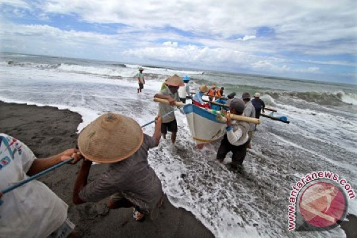 Wisatawan pantai selatan DIY waspadai ubur-ubur