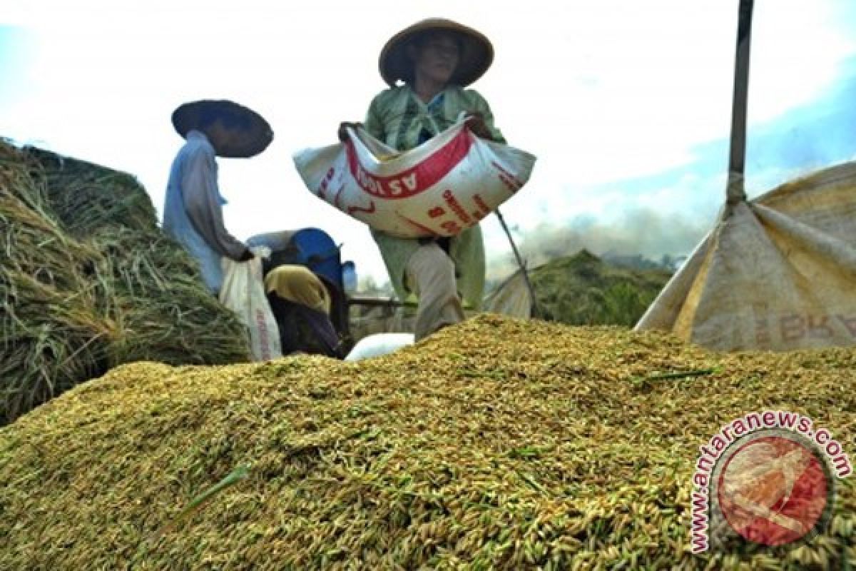 Bulog serap 3,2 juta ton gabah dan beras petani