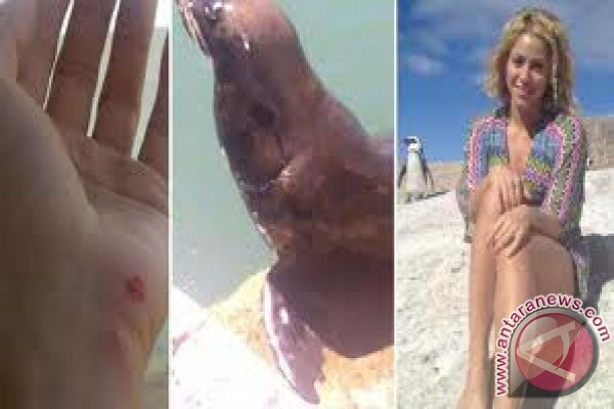 Angry sea lion attacks Shakira in South Africa