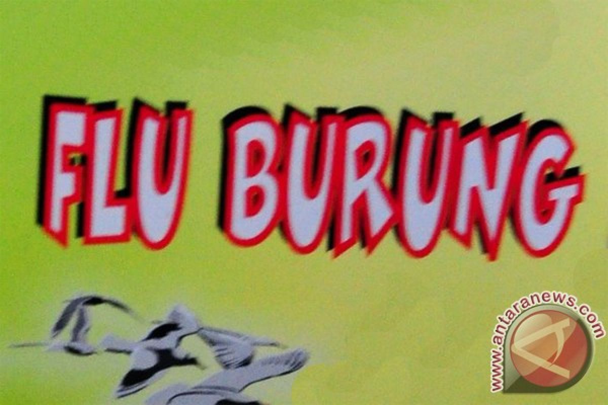 193 kasus flu burung di Indonesia sejak 2005