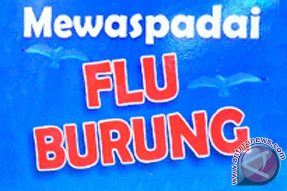 Dua warga Tangerang meninggal diduga tertular flu burung di Bogor