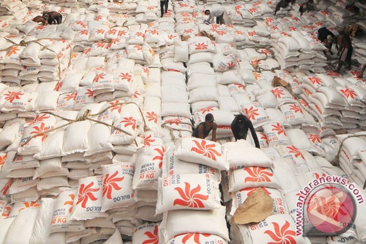 Rice stock in East Nusa Tenggara enough for 3 months only