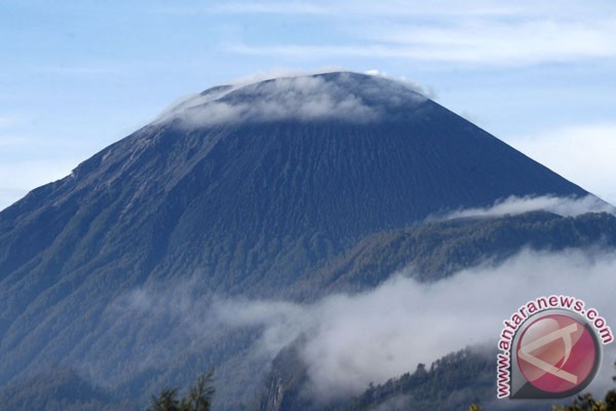 Jalur pendakian Gunung Semeru dibuka