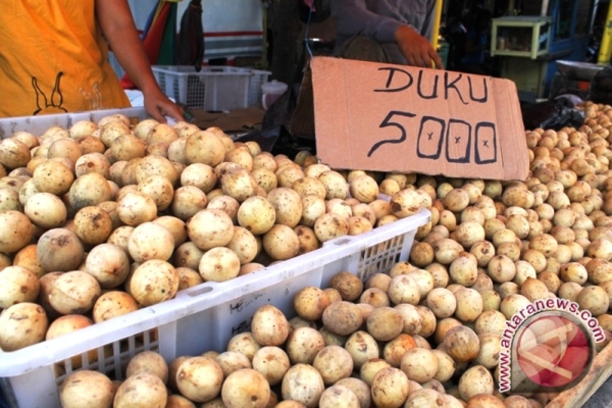 Pasokan buah duku di Palembang mulai berkurang 