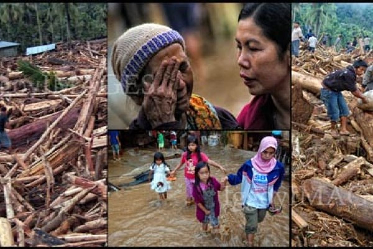 Ketika Sungai Keruh dan Hutan Bergemuruh