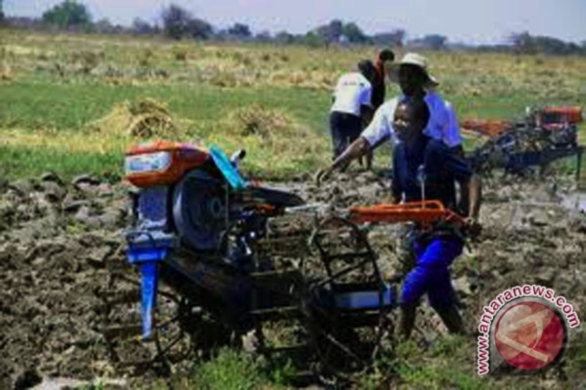 Petani Mukomuko dibantu puluhan traktor tangan 