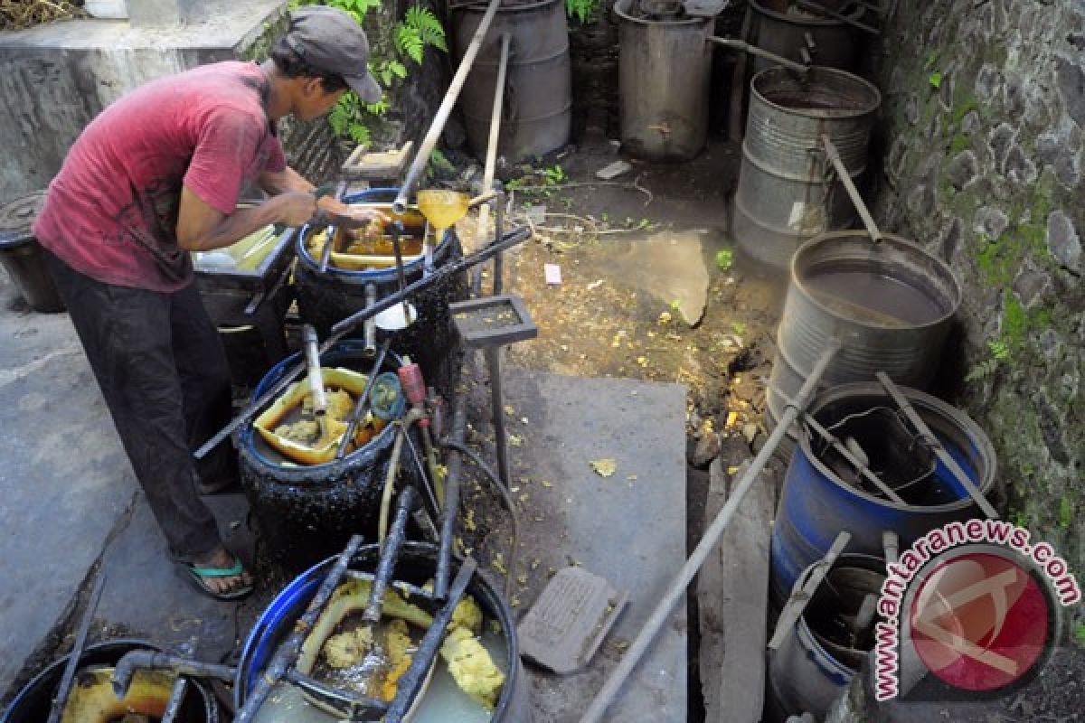 Petani nilam terima Rp110 juta per hektare