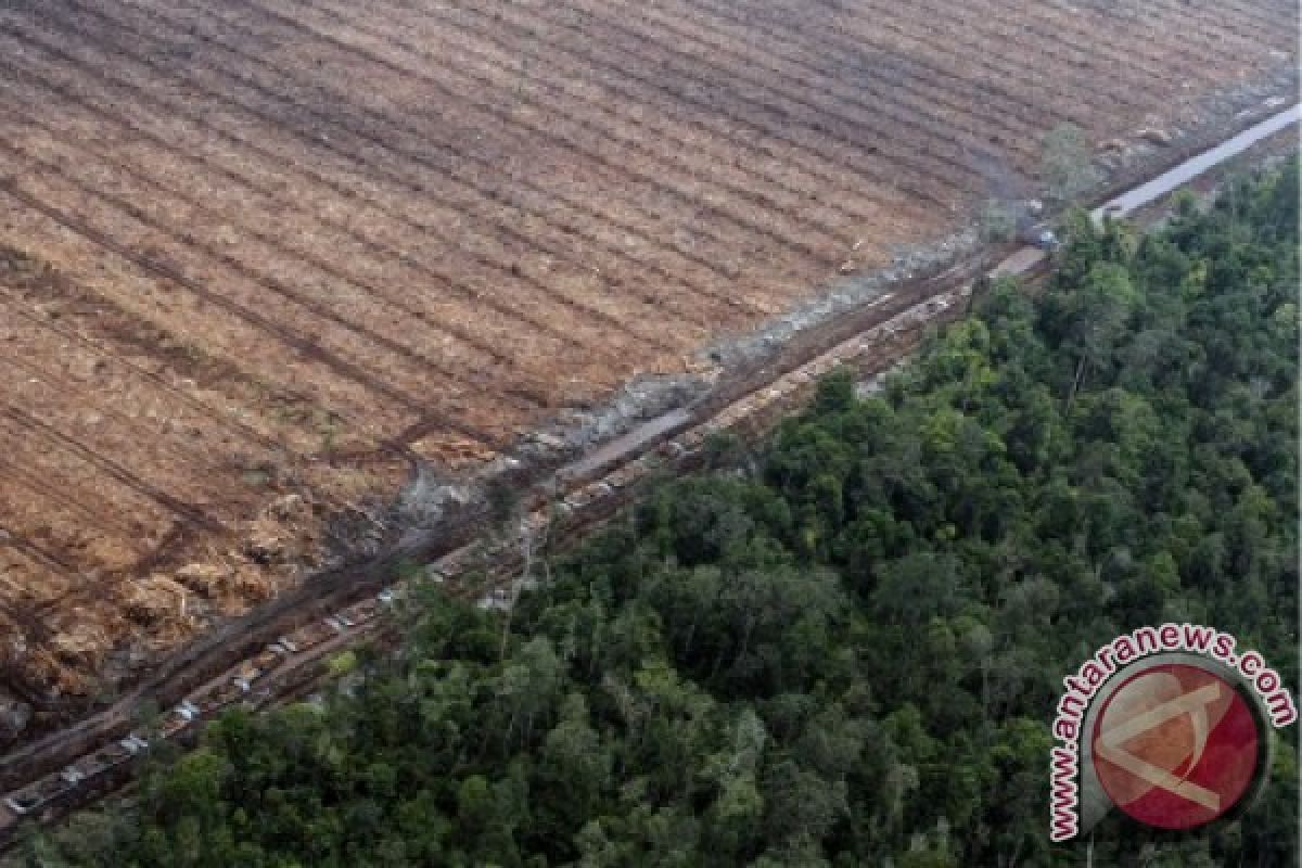 Proyek percobaan REDD+ bisa jadi contoh dunia