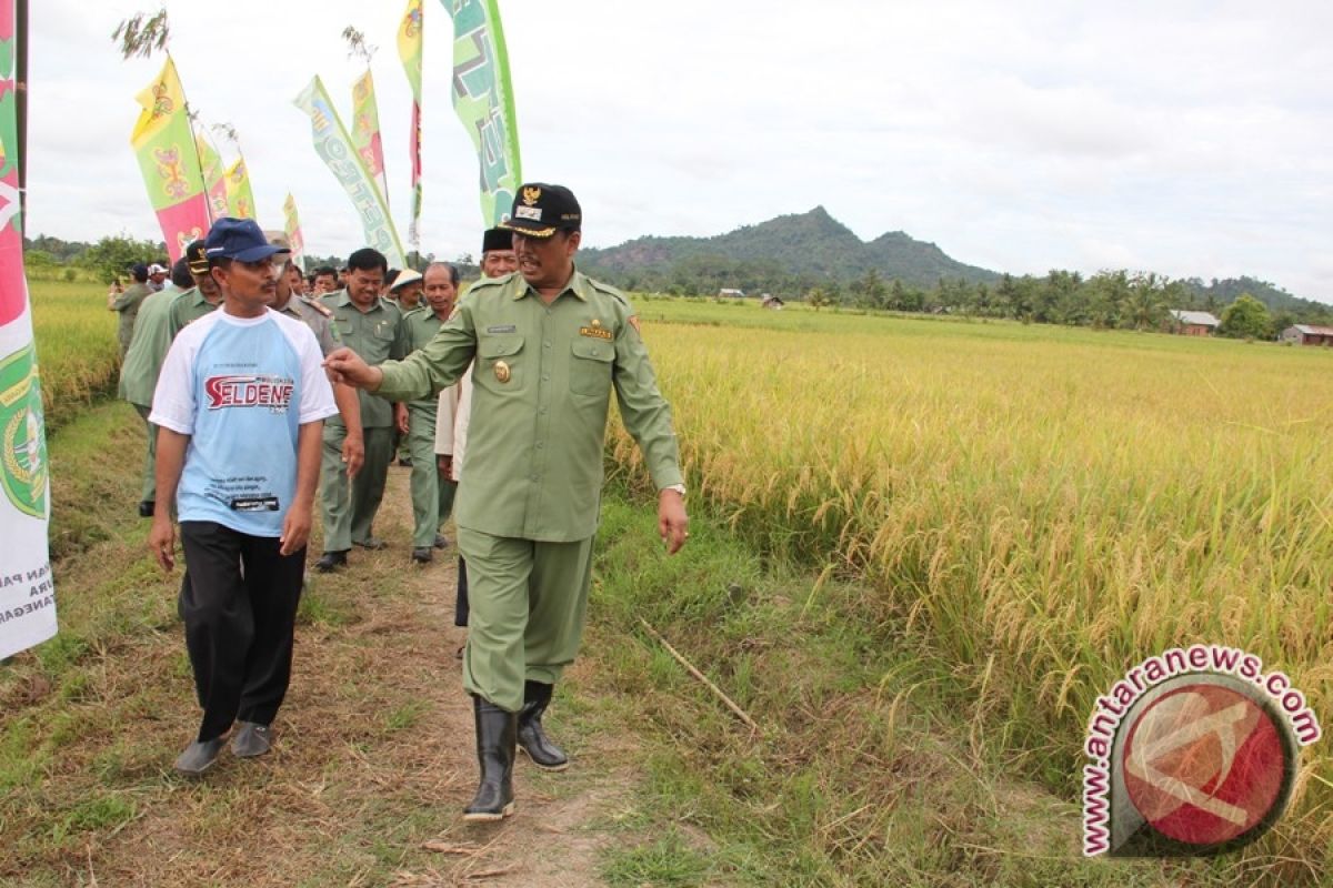 Petani Kukar Resah Dengan Maraknya Aktivitas Pertambangan 