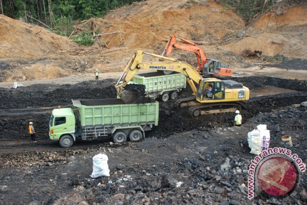 Coal production in E Kalimantan needs to be limited