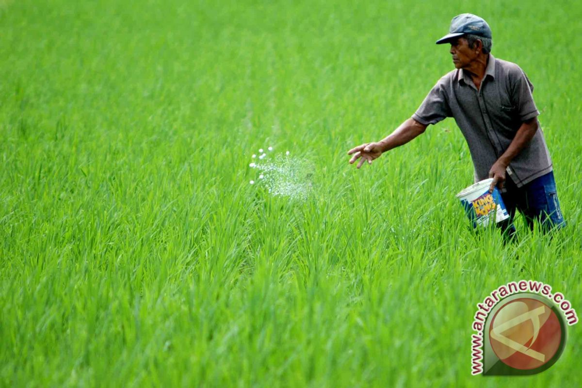 Bantul petakan 217.000 bidang lahan pertanian berkelanjutan