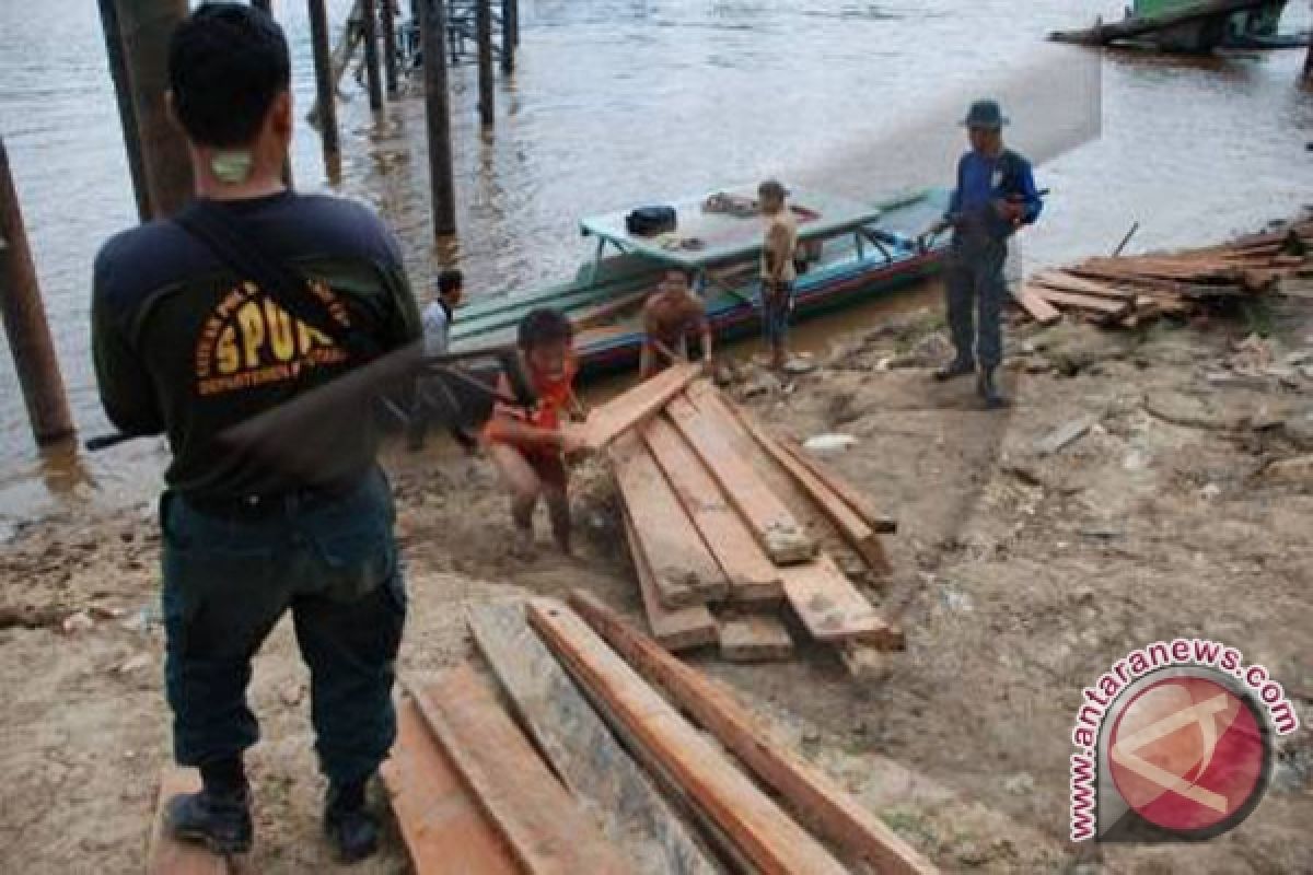17 meter kubik kayu ilegal diamankan