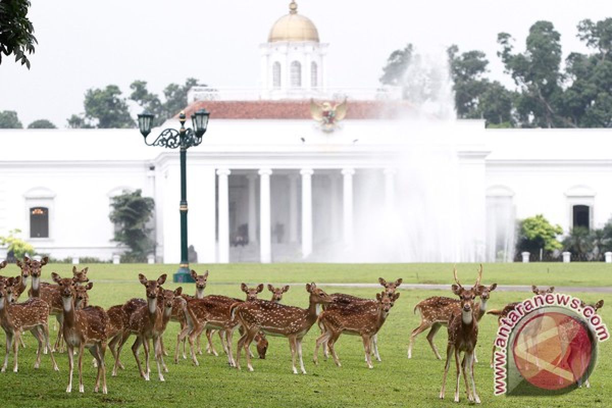Istana Bogor terbuka untuk warga 10-14 September