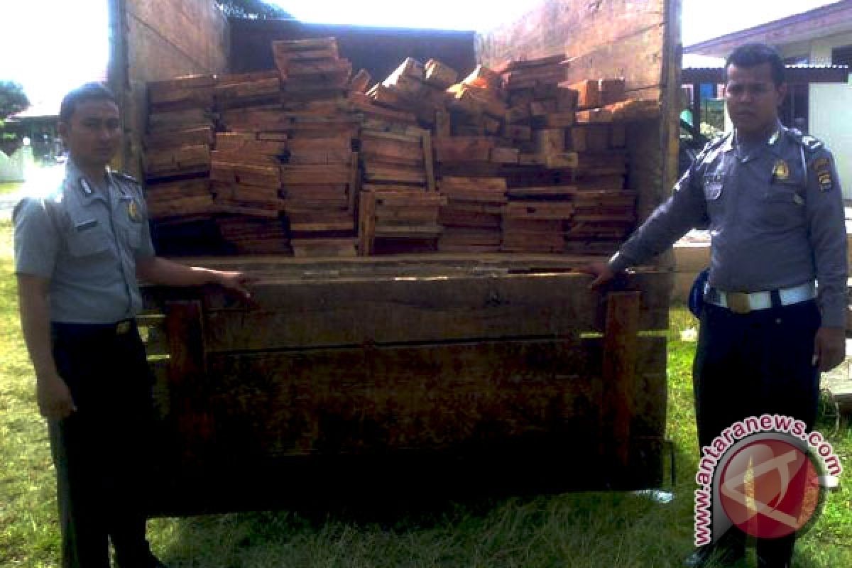 Polres Mukomuko tangkap pencuri kayu dari TNKS