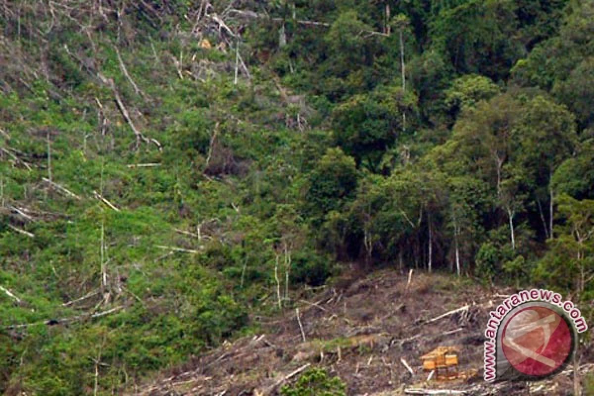 Kerusakan kawasan hutan konservasi memprihatinkan