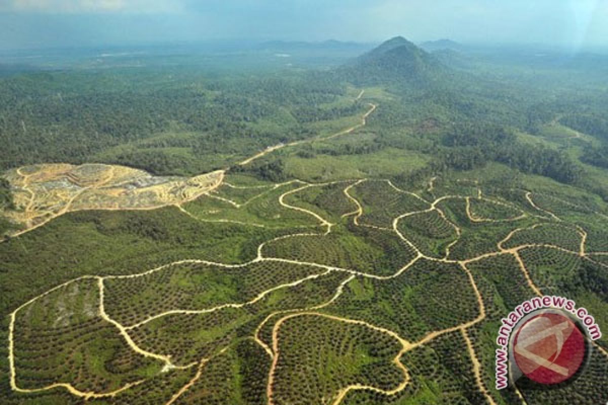 Walhi galang tandatangan tolak alihfungsi hutan kota